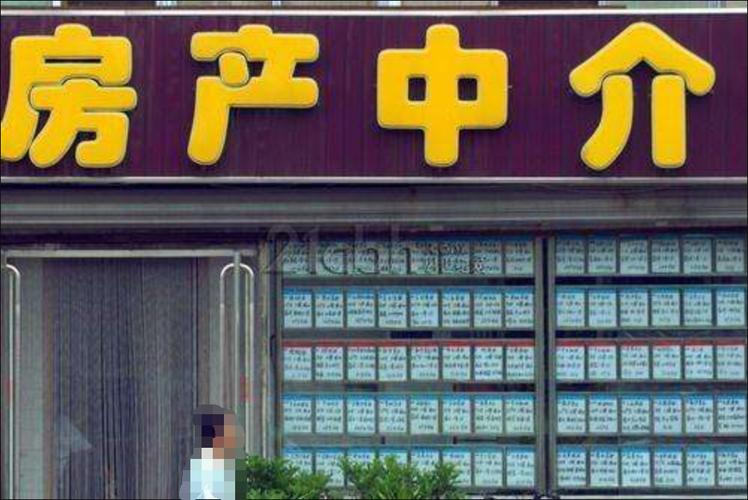 房屋中介机构的角色与挑战 房地产经纪行业深度解析